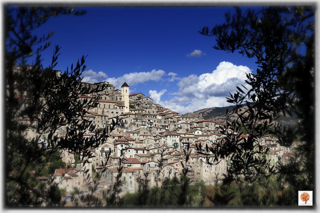 Villa La Loggetta Di Apricus à Olevano Romano Extérieur photo